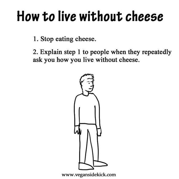 File:HowToLiveWithoutCheese.jpg