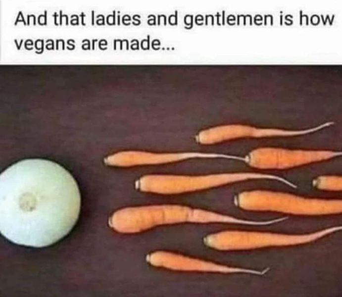 File:How vegans are made.jpg